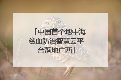 中国首个地中海贫血防治智慧云平台落地广西
