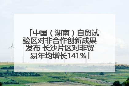 中国（湖南）自贸试验区对非合作创新成果发布 长沙片区对非贸易年均增长141%