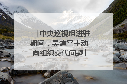 中央巡视组进驻期间，吴建平主动向组织交代问题