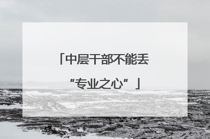 中层干部不能丢“专业之心”
