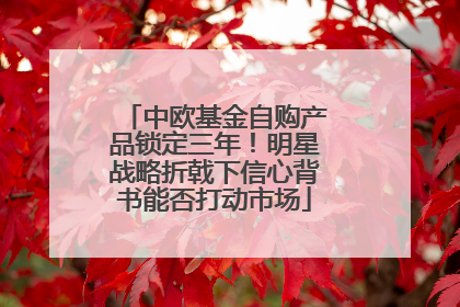 中欧基金自购产品锁定三年！明星战略折戟下信心背书能否打动市场