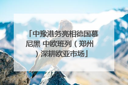 中豫港务亮相德国慕尼黑 中欧班列（郑州）深耕欧亚市场