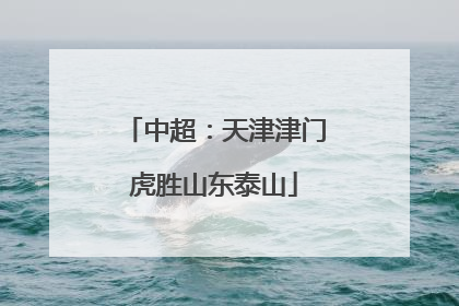 中超：天津津门虎胜山东泰山