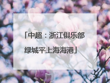 中超：浙江俱乐部绿城平上海海港