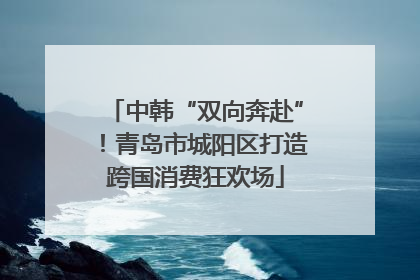 中韩“双向奔赴”！青岛市城阳区打造跨国消费狂欢场