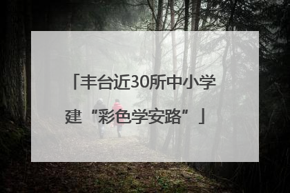丰台近30所中小学建“彩色学安路”