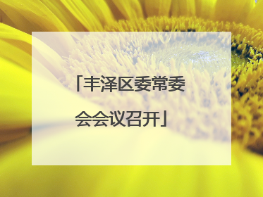 丰泽区委常委会会议召开
