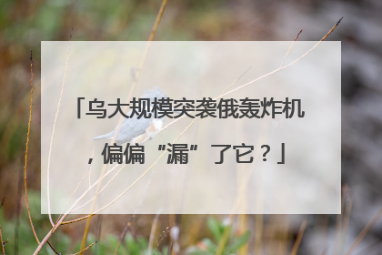 乌大规模突袭俄轰炸机，偏偏“漏”了它？