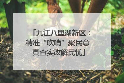 九江八里湖新区：精准“吹哨”聚民意 真查实改解民忧