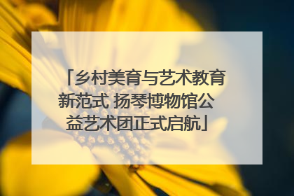 乡村美育与艺术教育新范式 扬琴博物馆公益艺术团正式启航