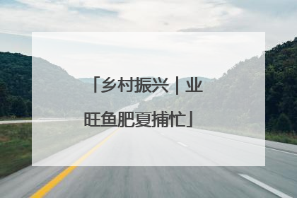 乡村振兴｜业旺鱼肥夏捕忙