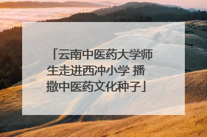 云南中医药大学师生走进西冲小学 播撒中医药文化种子