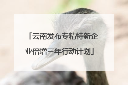 云南发布专精特新企业倍增三年行动计划