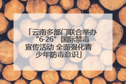 云南多部门联合举办“6·26”国际禁毒宣传活动 全面强化青少年防毒意识