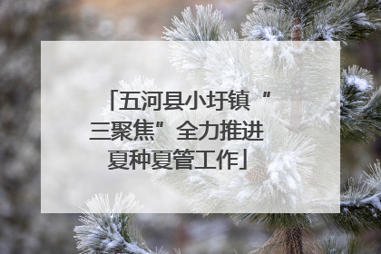 五河县小圩镇“三聚焦”全力推进夏种夏管工作