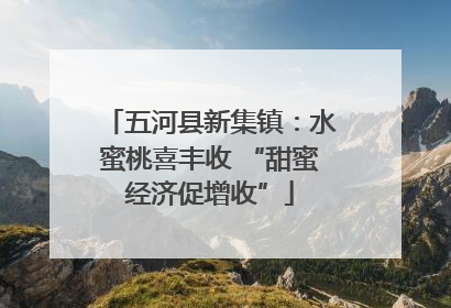 五河县新集镇：水蜜桃喜丰收 “甜蜜经济促增收”