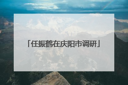 任振鹤在庆阳市调研