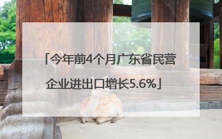 今年前4个月广东省民营企业进出口增长5.6%