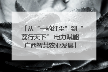 从“一骑红尘”到“荔行天下” 电力赋能广西智慧农业发展