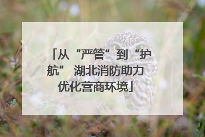 从“严管”到“护航” 湖北消防助力优化营商环境