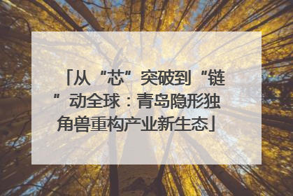 从“芯”突破到“链”动全球：青岛隐形独角兽重构产业新生态