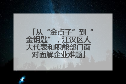 从“金点子”到“金钥匙”，江汉区人大代表和职能部门面对面解企业难题