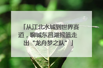 从江北水城到世界赛道，聊城东昌湖摇篮走出“龙舟梦之队”