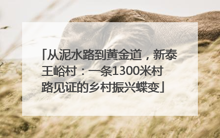 从泥水路到黄金道，新泰王峪村：一条1300米村路见证的乡村振兴蝶变