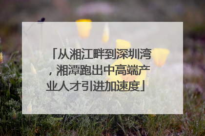 从湘江畔到深圳湾，湘潭跑出中高端产业人才引进加速度