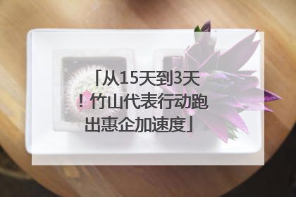 从15天到3天！竹山代表行动跑出惠企加速度