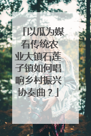 以瓜为媒 看传统农业大镇石莲子镇如何唱响乡村振兴协奏曲？