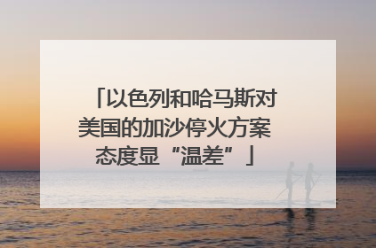 以色列和哈马斯对美国的加沙停火方案态度显“温差”