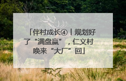 伴村成长④丨规划好了“满盘赢”，仁义村唤来“大厂”回