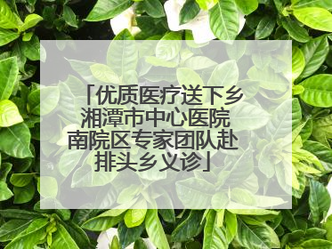 优质医疗送下乡 湘潭市中心医院南院区专家团队赴排头乡义诊