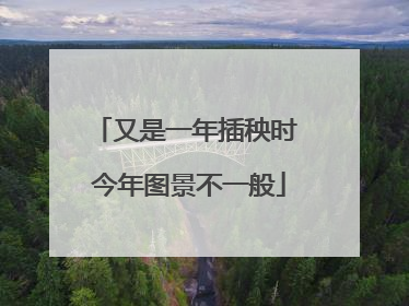 又是一年插秧时 今年图景不一般