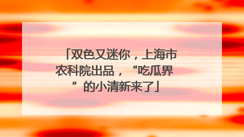 双色又迷你，上海市农科院出品，“吃瓜界”的小清新来了
