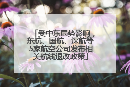 受中东局势影响，东航、国航、深航等5家航空公司发布相关航线退改政策