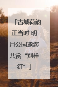 古城荷韵正当时 明月公园邀您共赏“别样红”