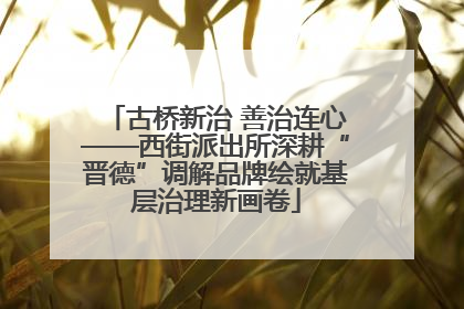 古桥新治 善治连心——西街派出所深耕“晋德”调解品牌绘就基层治理新画卷
