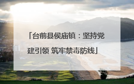 台前县侯庙镇：坚持党建引领 筑牢禁毒防线