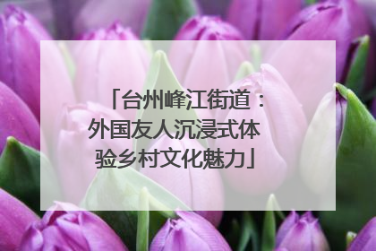 台州峰江街道：外国友人沉浸式体验乡村文化魅力