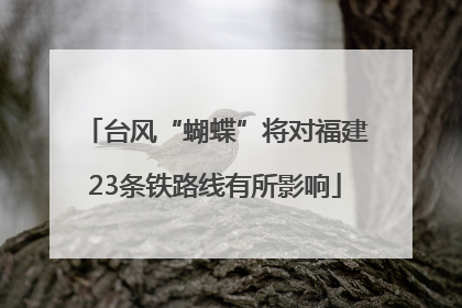 台风“蝴蝶”将对福建23条铁路线有所影响