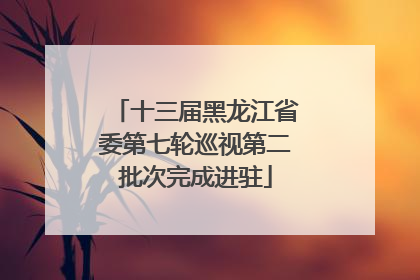 十三届黑龙江省委第七轮巡视第二批次完成进驻