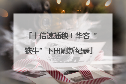 十倍速插秧！华容“铁牛”下田刷新纪录