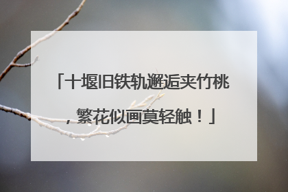 十堰旧铁轨邂逅夹竹桃，繁花似画莫轻触！