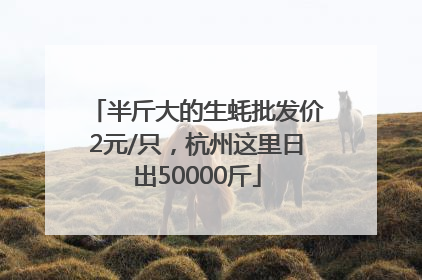 半斤大的生蚝批发价2元/只，杭州这里日出50000斤