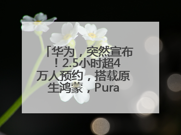 华为，突然宣布！2.5小时超4万人预约，搭载原生鸿蒙，Pura 80外观曝光