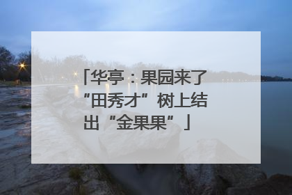 华亭：果园来了“田秀才”树上结出“金果果”