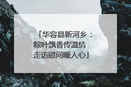 华容县新河乡：粽叶飘香传温情 走访慰问暖人心