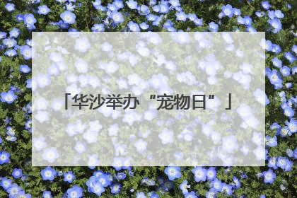 华沙举办“宠物日”